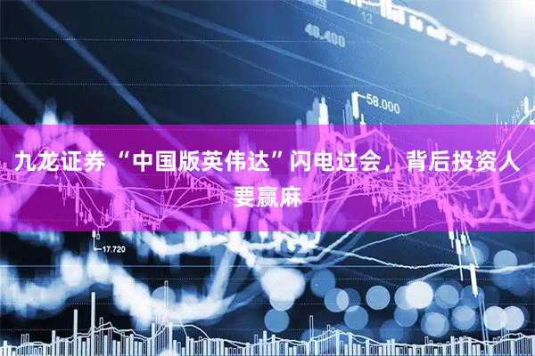九龙证券 “中国版英伟达”闪电过会，背后投资人要赢麻