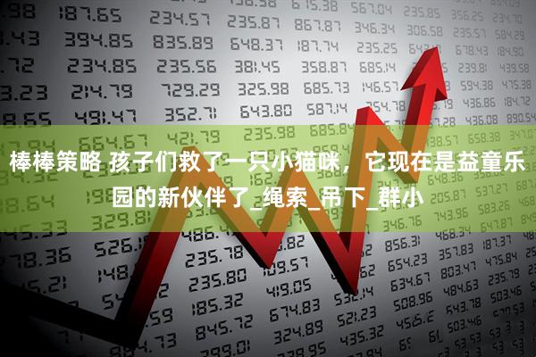 棒棒策略 孩子们救了一只小猫咪，它现在是益童乐园的新伙伴了_绳索_吊下_群小