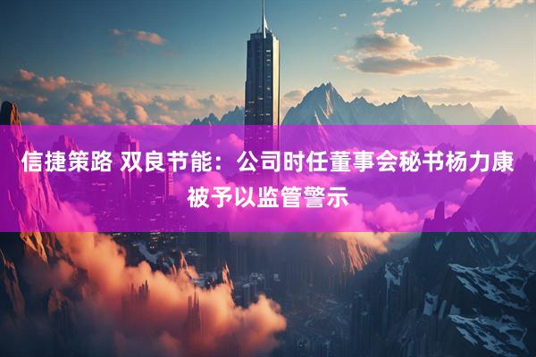 信捷策路 双良节能：公司时任董事会秘书杨力康被予以监管警示